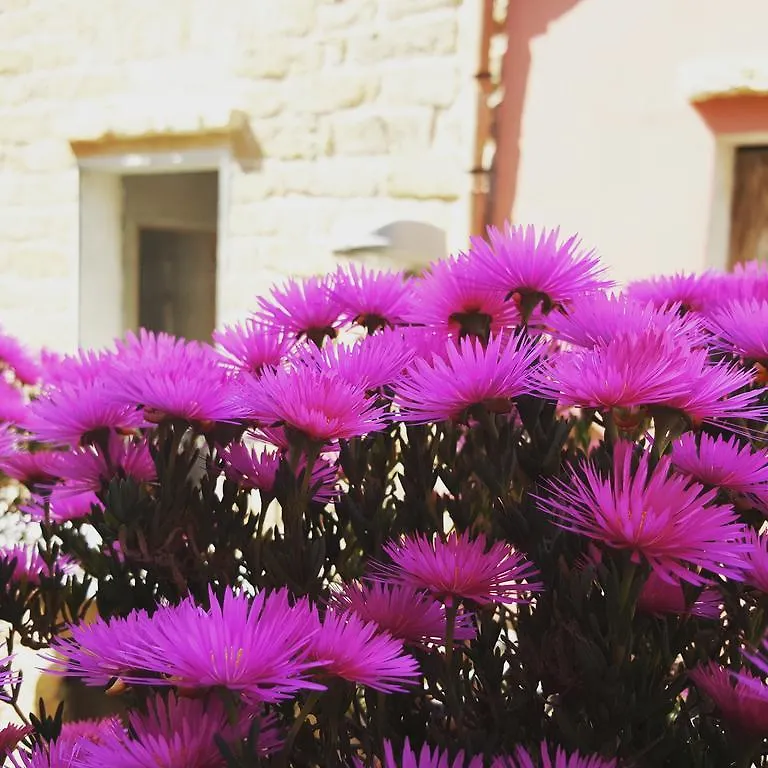 Bed & Breakfast B&B Cinisi Vacanze